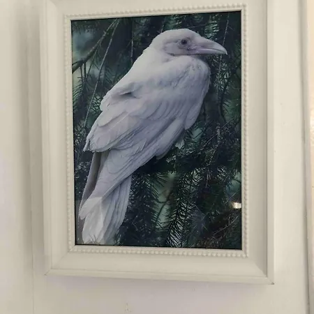 Het Witte Raafje 노르트베이크