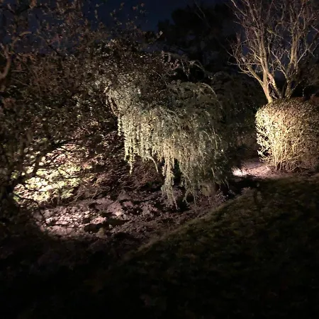 Het Witte Raafje *